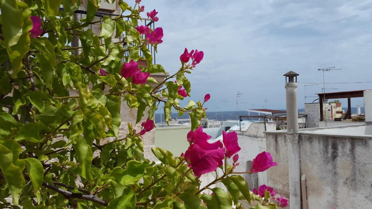 La Casetta Nel Vico Polignano a Mare Exteriér fotografie